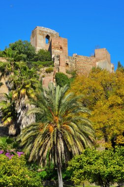 Alcazaba Malaga Malaga, İspanya