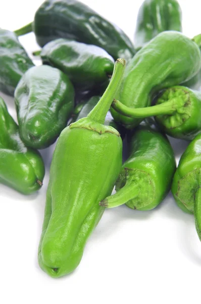 Padron peppers typical of Spain — Stock Photo, Image