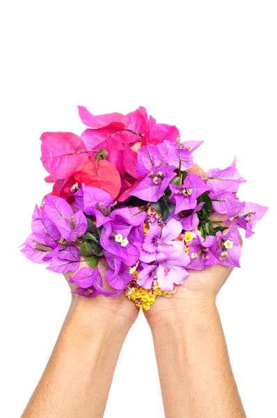 Mãos cheias de flores — Fotografia de Stock