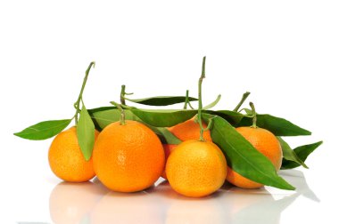 Tangerines clipart