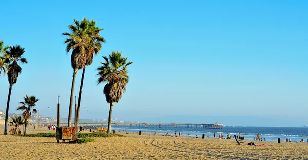 Venice beach, venice, Spojené státy — Stock fotografie