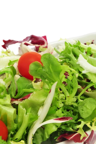 Fechar de uma chapa de salada — Fotografia de Stock