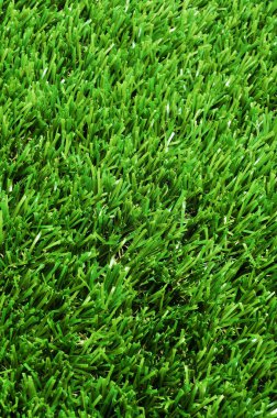 Closeup of green grass clipart