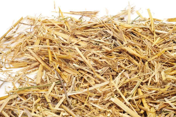 A pile of straw — Stock Photo, Image