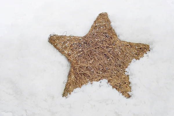 Weihnachtsstern im Schnee — Stockfoto