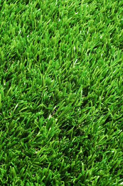 Gros plan d'herbe verte — Photo