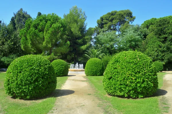 Trädgårdarna palau reial de pedralbes i barcelona, Spanien — Stockfoto