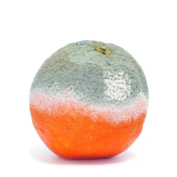 Spleśniały pomarańczowy — Zdjęcie stockowe