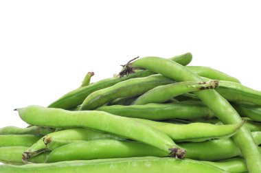 Broad beans clipart