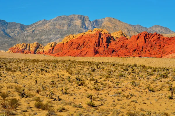 Red rock canyon nationella bevarande område, nevada, united state — Stockfoto