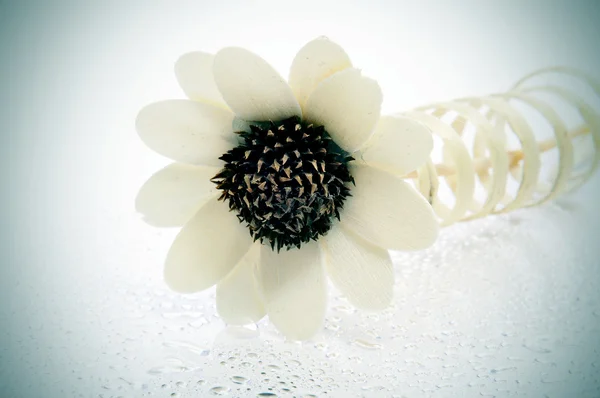 Çiçek şeklindeki süsleme — Stok fotoğraf