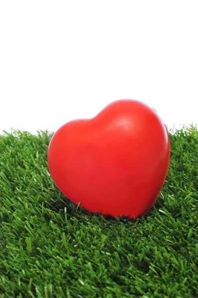 Srdce na trávě — Stock fotografie