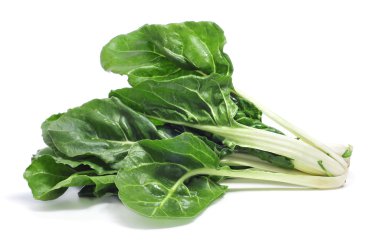 Leaves Chard clipart