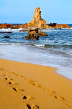 View of Cala Pregonda beach in Menorca, Balearic Islands, Spain clipart