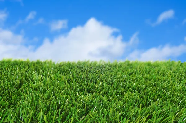 Трава і небо — стокове фото