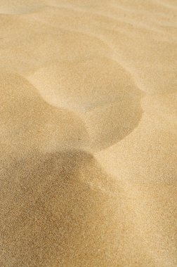 Closeup of sand clipart