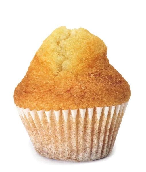 Einfache Cupcake — Stockfoto