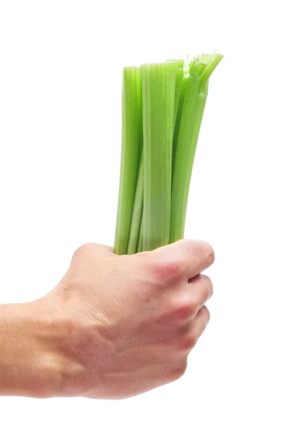Bunch of celery — Stock Photo, Image