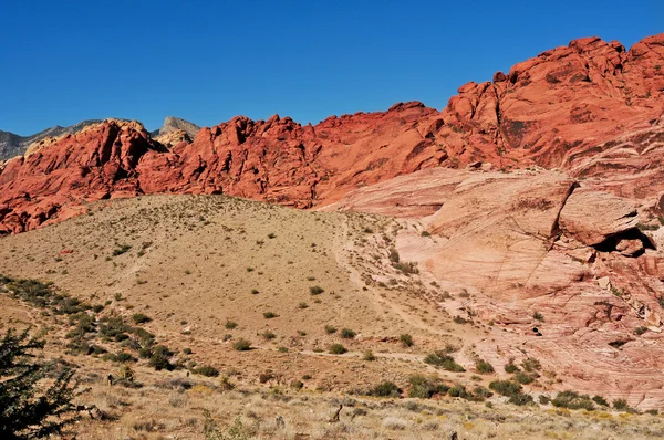Red Rock Canyon National Conservation Area, Nevada, Estados Unidos da América — Fotografia de Stock