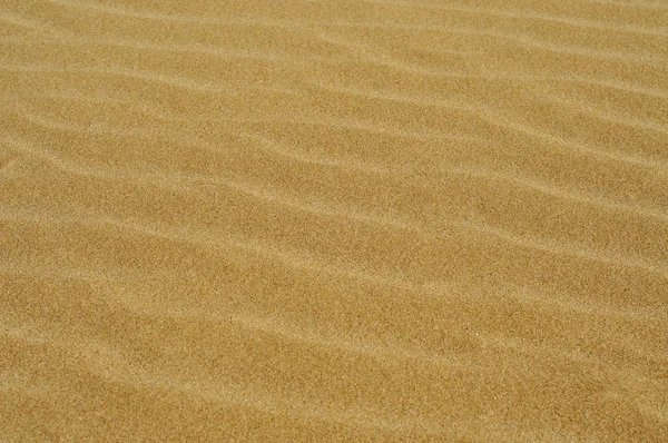 stock image Closeup of sand