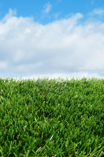Gras und der Himmel — Stockfoto