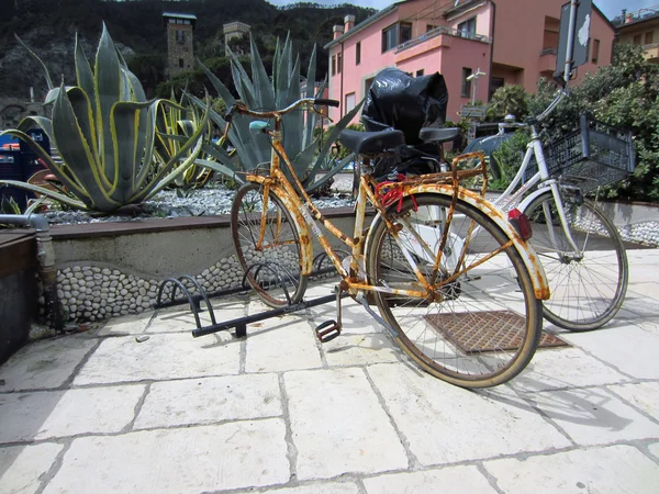 stock image Monterosso, Italy