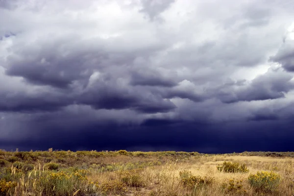 Буря в пустелі — стокове фото