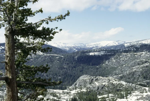 Parque Nacional Yosemite — Foto de Stock