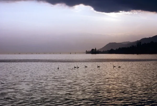 Lago de Ginebra —  Fotos de Stock