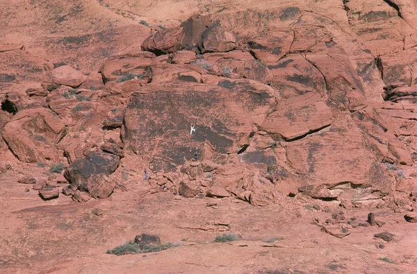 Cânion de rocha vermelha, nevada — Fotografia de Stock