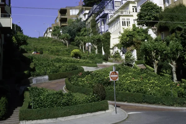 stock image Lombard Street