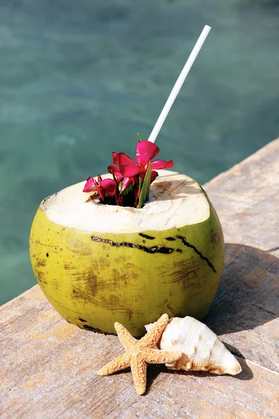 Kokos drink och havet — Stockfoto
