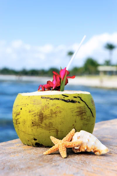 Kokosnöt med dricka sugrör — Stockfoto