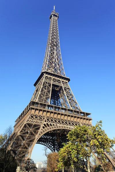 Torre eiffel e alberi — Foto Stock