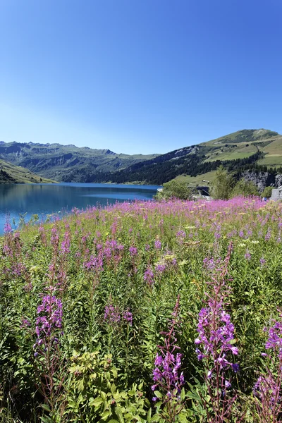Pionowe alpejskich krajobrazów — Zdjęcie stockowe