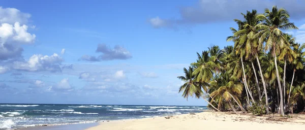 Vista panorâmica da praia caribenha — Fotografia de Stock