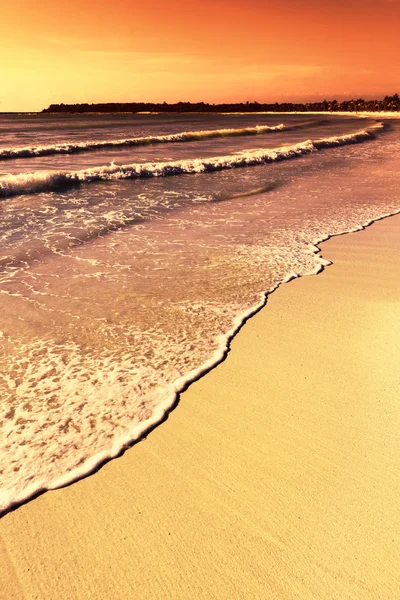 카리브 일몰 해변 — 스톡 사진