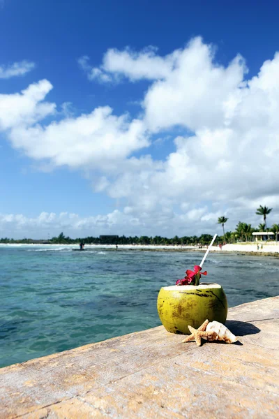 Kokosový moře — Stock fotografie