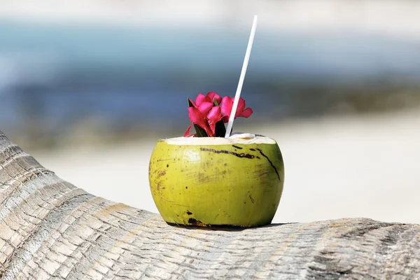 Stranden cocktail — Stockfoto