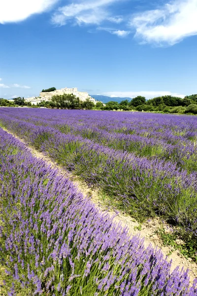 Lavender field and Grignan village — Stock Photo, Image