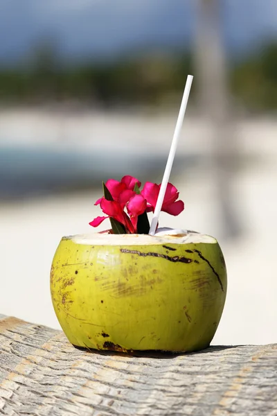 코코넛 음료 — 스톡 사진