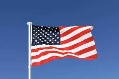 ABD bayrağı