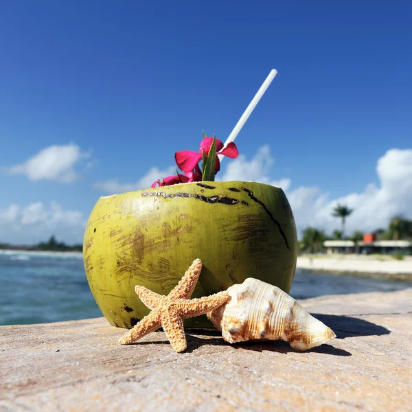 Karibská nápoj — Stock fotografie