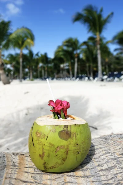 Pláž nápoj — Stock fotografie