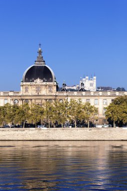 View of Lyon city clipart