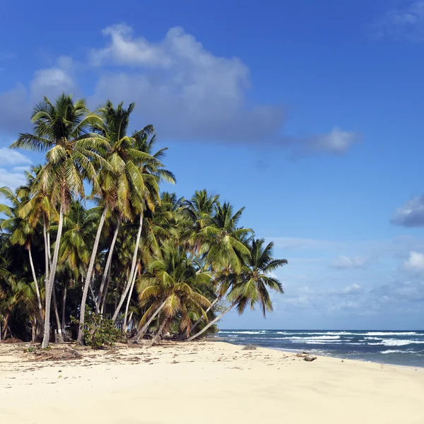 Площа Карибському пляжі — стокове фото
