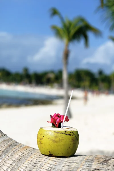 Beach drink — Stock Photo, Image