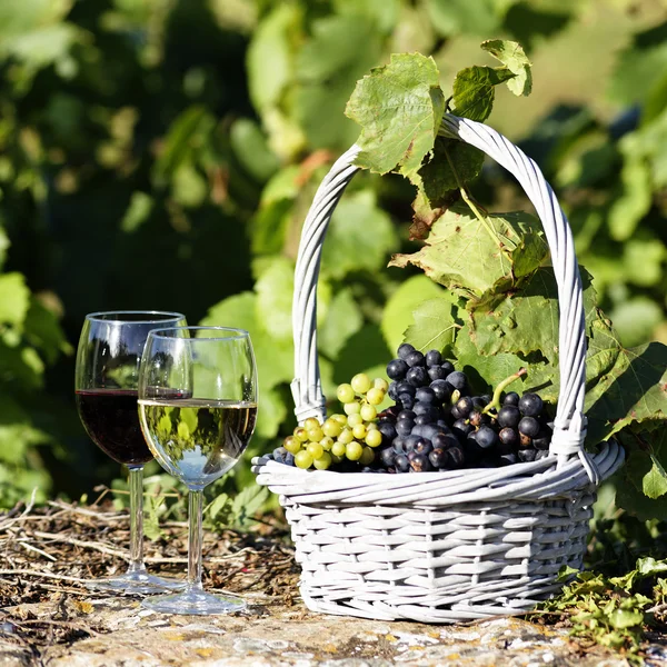 Vasos de vino blanco y tinto — Foto de Stock