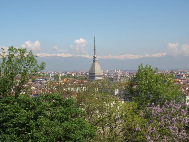 Turin görünümü