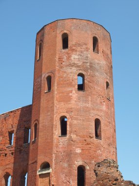 Torri palatine, Torino